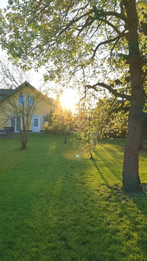 Ferienwohnung Luba Lipa Drachhausen Kültér fotó